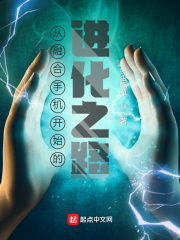 从融合手机开始的进化之路